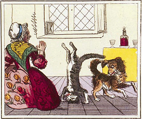 illustratie