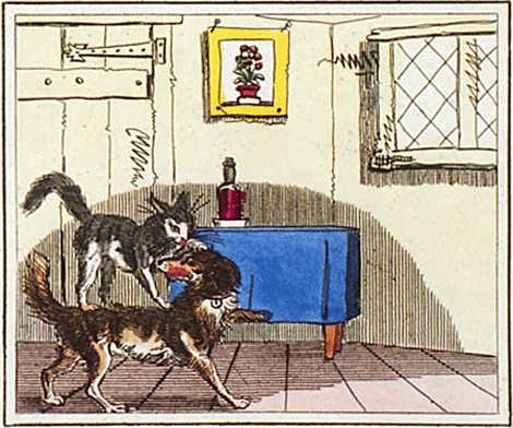 illustratie
