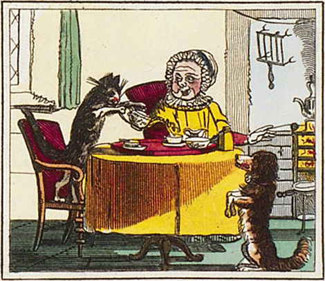 illustratie