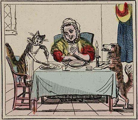 illustratie