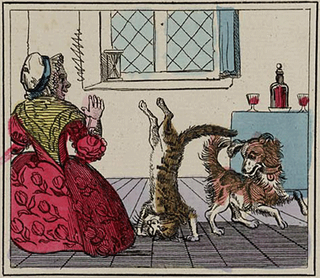 illustratie