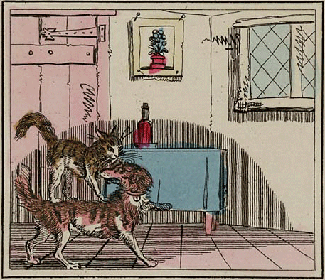 illustratie
