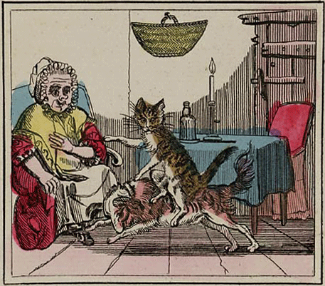 illustratie