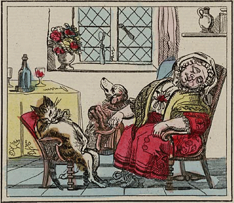 illustratie