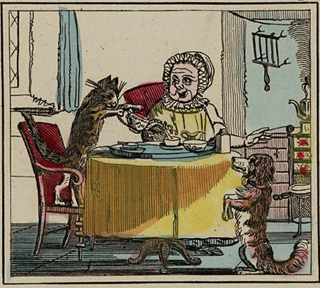 illustratie