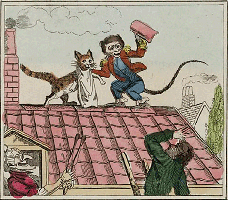 illustratie