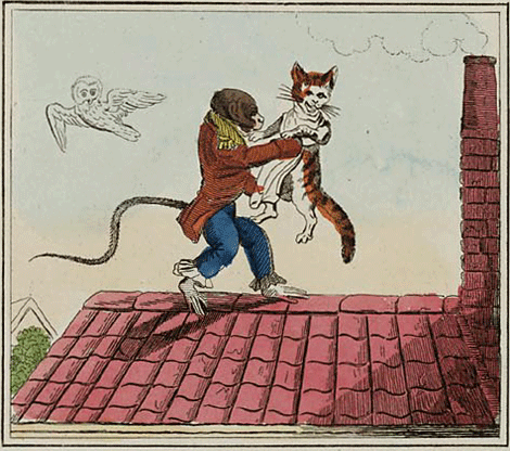 illustratie