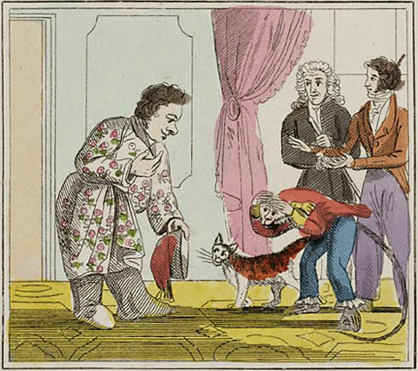 illustratie