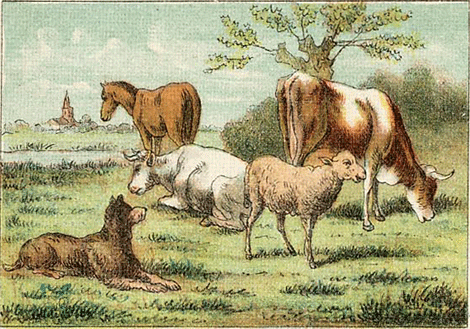 illustratie