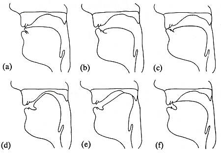 articulatie klinkers