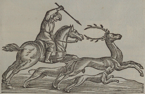 illustratie