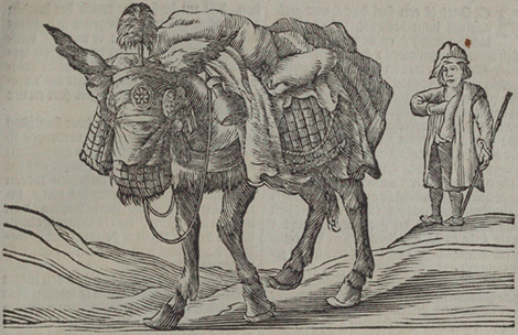 illustratie