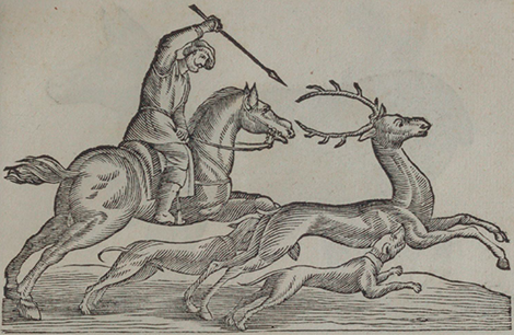 illustratie