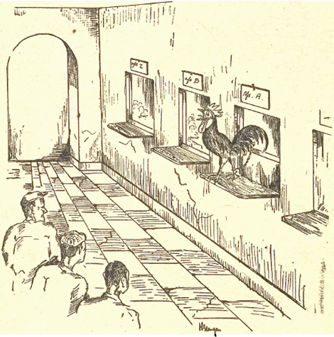illustratie
