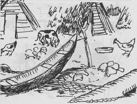 illustratie