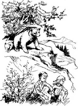 illustratie