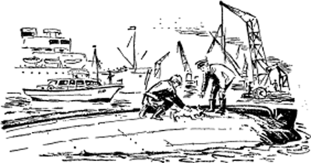 illustratie