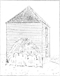 illustratie