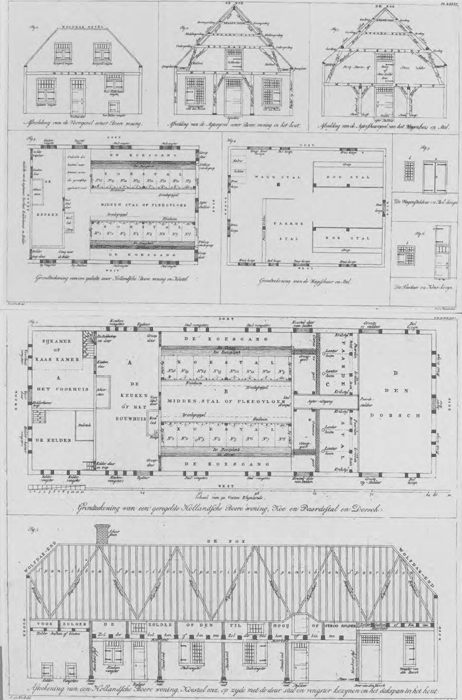 illustratie