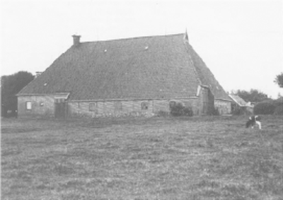 illustratie