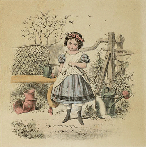 illustratie