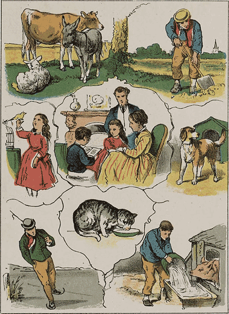 illustratie