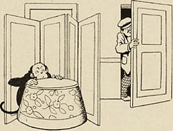 illustratie