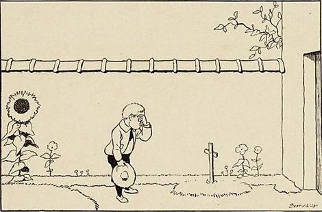 illustratie