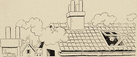 illustratie