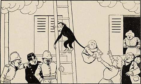 illustratie