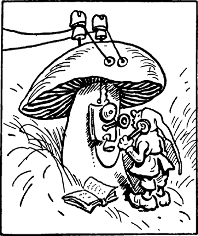 illustratie