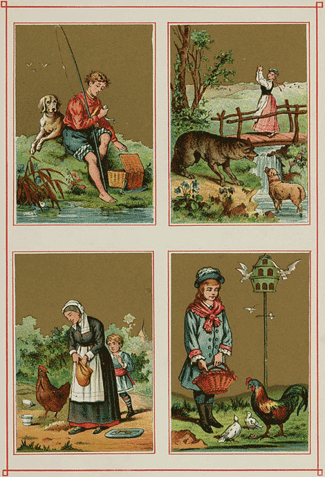 illustratie