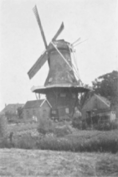 illustratie