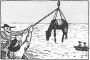 illustratie