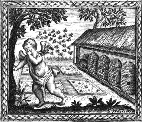 illustratie