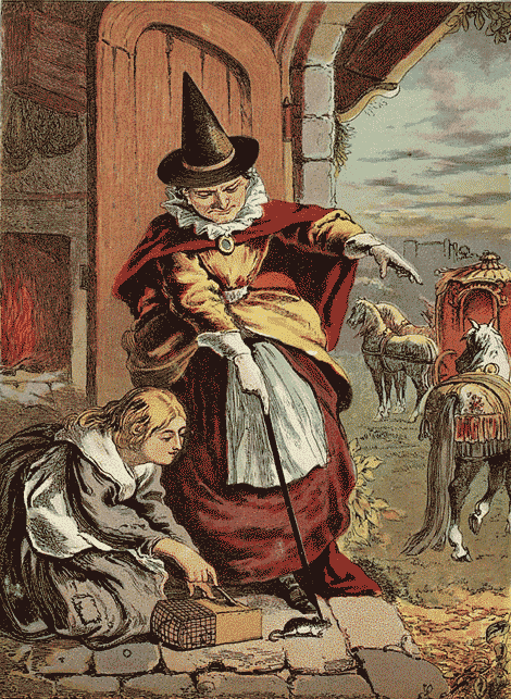 illustratie