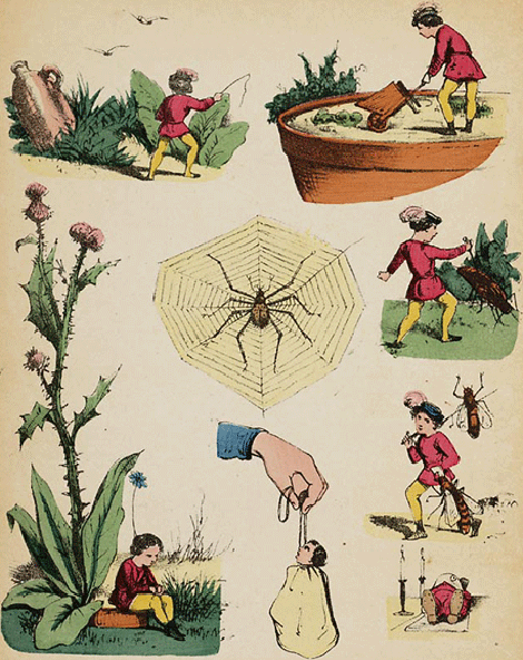 illustratie