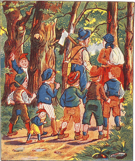 illustratie