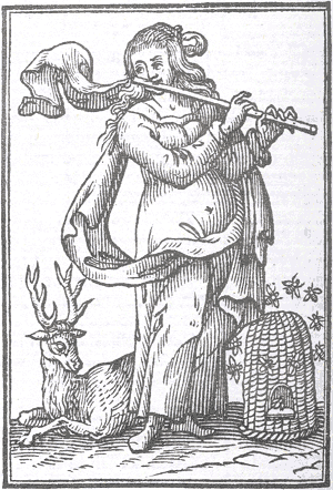 illustratie