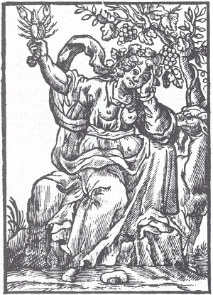 illustratie