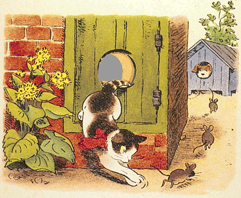illustratie