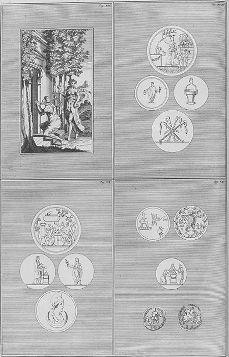 illustratie