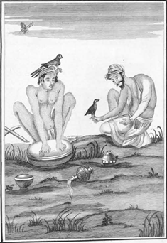 illustratie