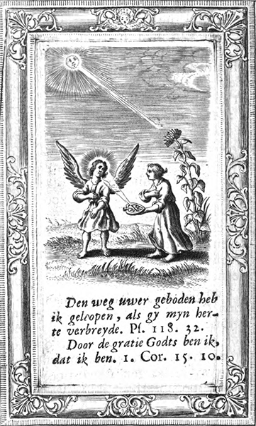 illustratie