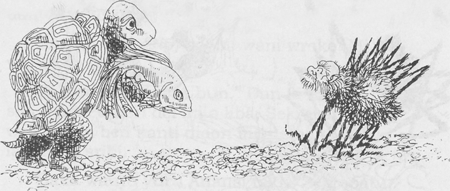 illustratie