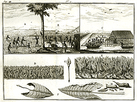 illustratie