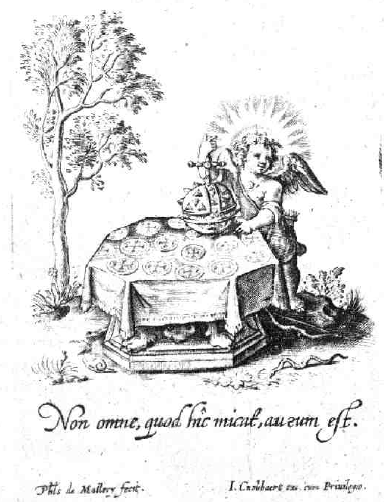 illustratie