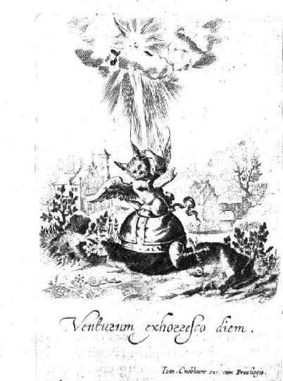 illustratie