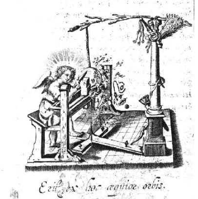 illustratie