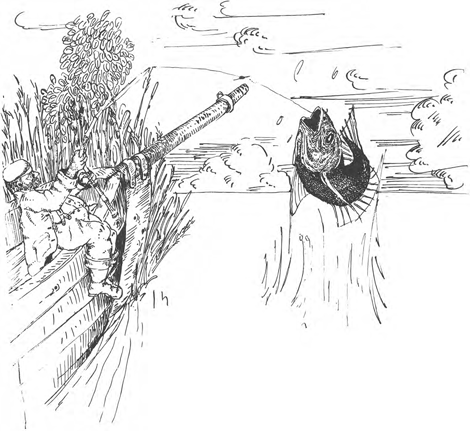 illustratie